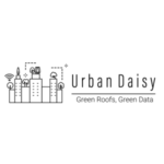 Urban Daisy